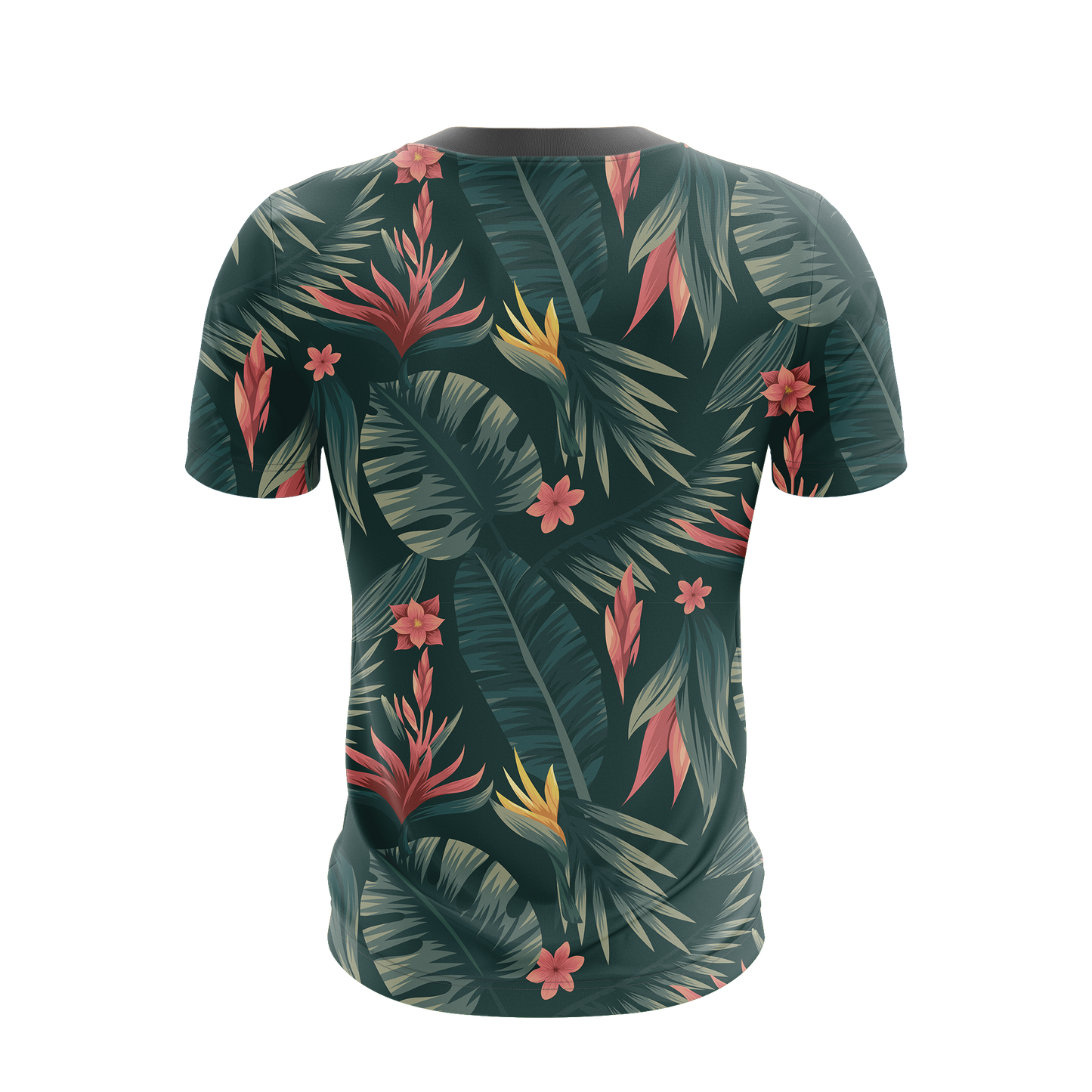 Studio Ghibli And Alice In Wonderland Unisex 3D T-shirt