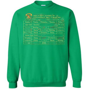Harry's Schedule Harry Potter Shirt Irish Green S 