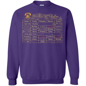 Harry's Schedule Harry Potter Shirt Purple S 