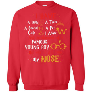 I Have A Diary, A Tiara, A Special Cup, A Pet I Adore And An Obsession Of A Famous Young Boy Harry Potter Fan T-shirt Red S 