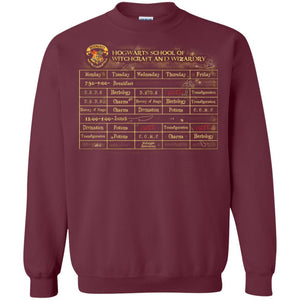 Harry's Schedule Harry Potter Shirt Maroon S 